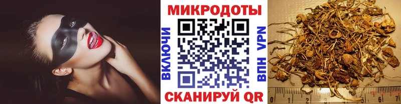 Галлюциногенные грибы Cubensis  маркетплейс какой сайт  Соликамск 